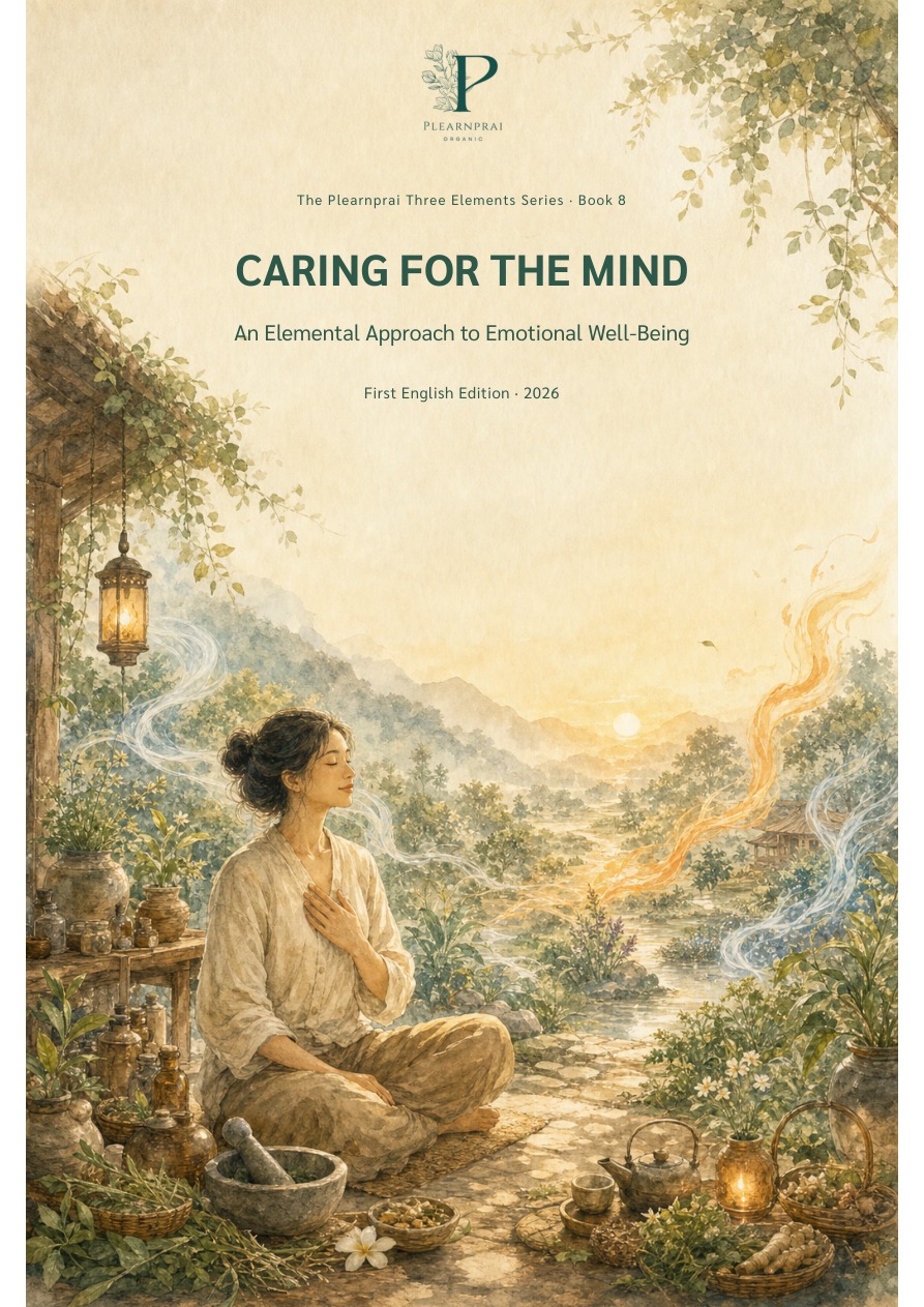 Caring for the Mind book cover