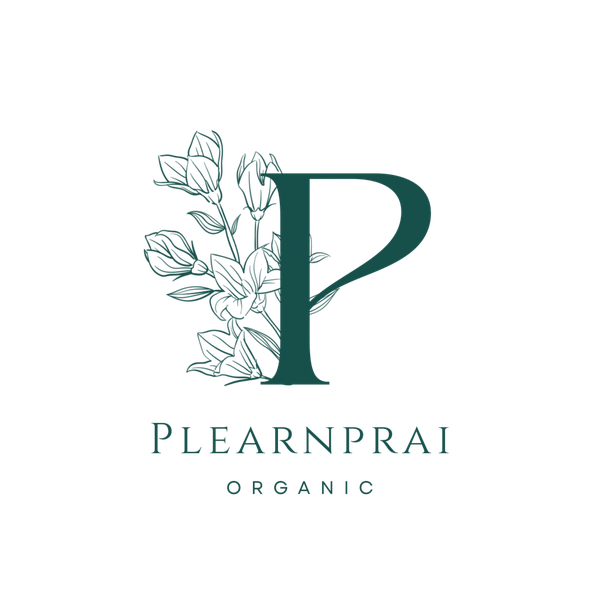 เพลินไพร